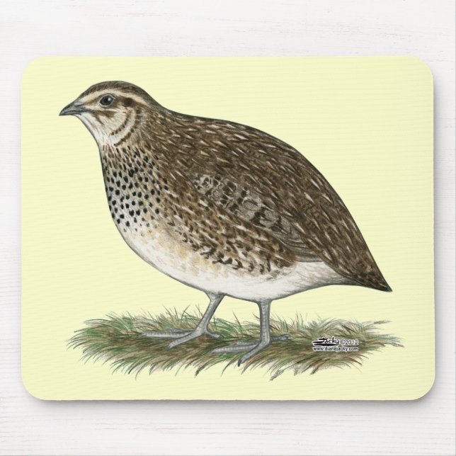 Coturnix Quail Hen Mouse Pad (Front)