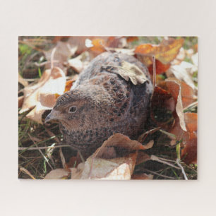 Coturnix Quail in the leaves Jigsaw Puzzle