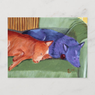 couch potatoes gallery postcard