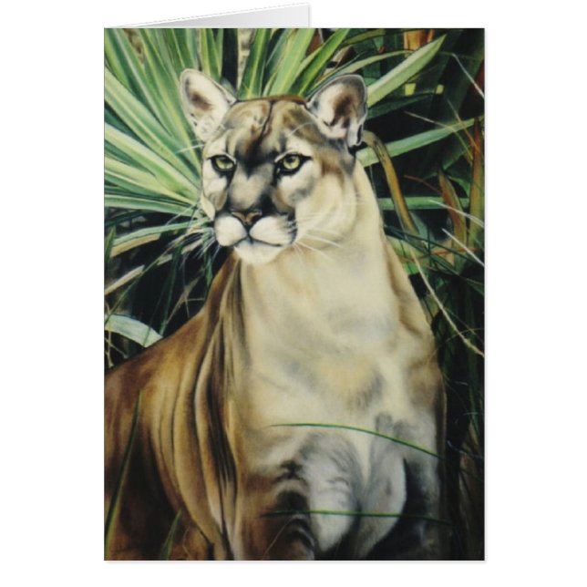 "Cougar" (Front)