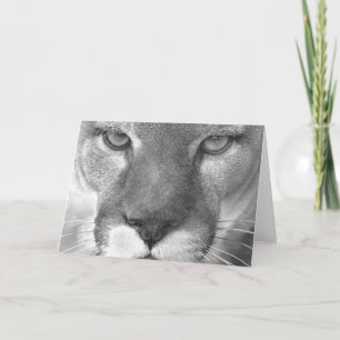 Cougar #1-Greeting card