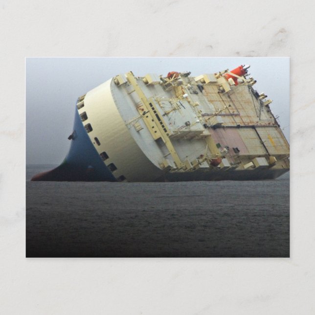 Cougar Ace Postcard (Front)