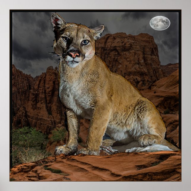 Cougar Arizona Poster (Front)