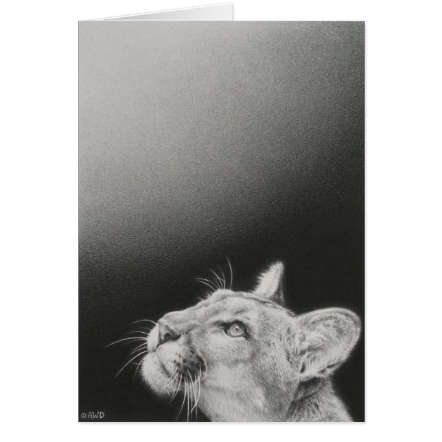 Cougar Blank Card by Andrew Denman (Front)