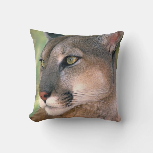 Cougar, California Cushion (Front)