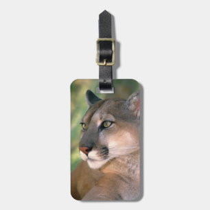 Cougar, California Luggage Tag