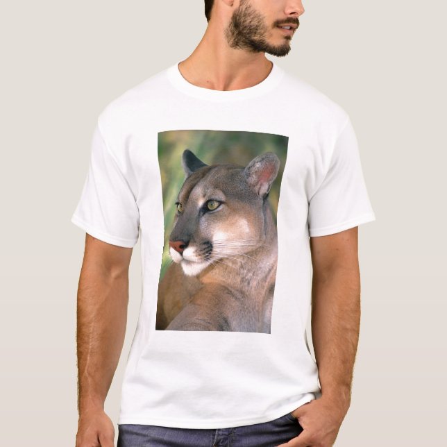 Cougar, California T-Shirt (Front)