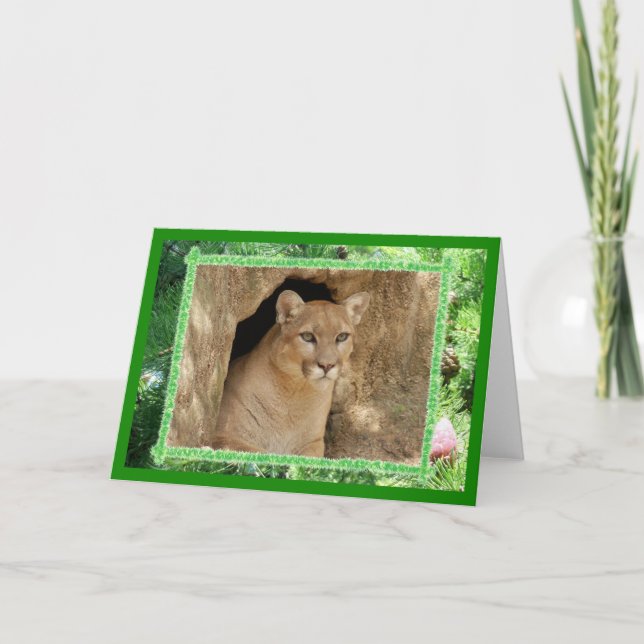 Cougar Christmas Greeting Card (Front)