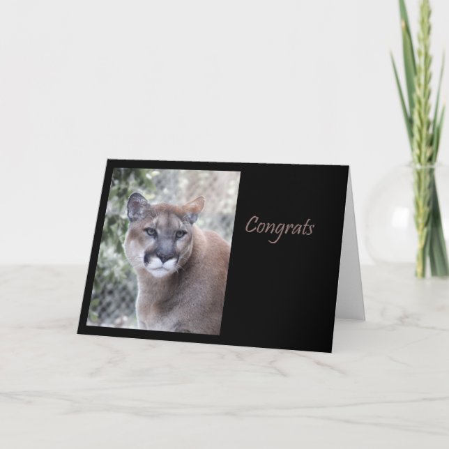 Cougar Congratulations Card (Front)