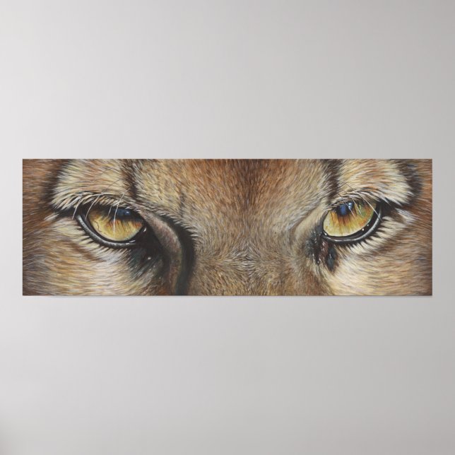 Cougar Eyes #2 Poster (Front)