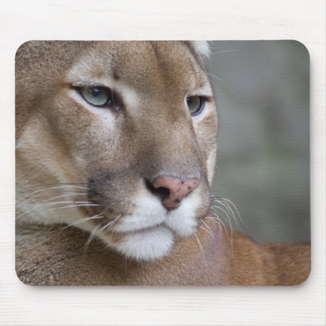 COUGAR face eyes macro cats wild Mouse Pad (Front)
