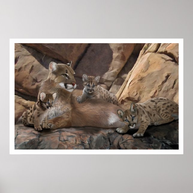 Cougar Family Poster (Front)