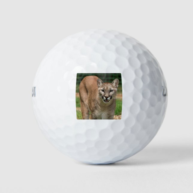 Cougar Golf Balls (Front)