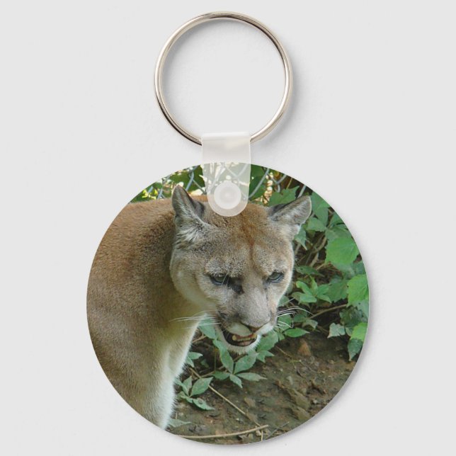 Cougar key chain (Front)