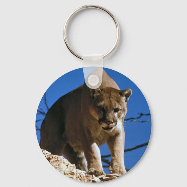 cougar key ring (Front)