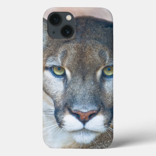 Cougar, mountain lion, Florida panther, Puma 2 Case-Mate iPhone Case (Back)