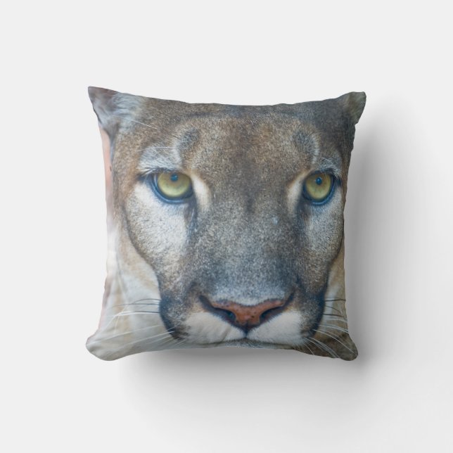 Cougar, mountain lion, Florida panther, Puma 2 Cushion (Front)