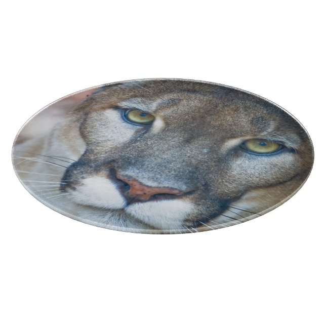 Cougar, mountain lion, Florida panther, Puma 2 Cutting Board (Corner)