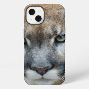 Cougar, mountain lion, Florida panther, Puma iPhone 13 Case