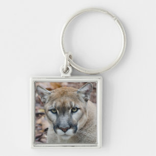 Cougar, mountain lion, Florida panther, Puma Key Ring