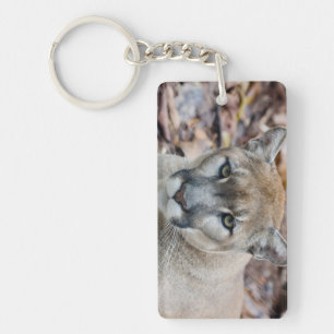 Cougar, mountain lion, Florida panther, Puma Key Ring