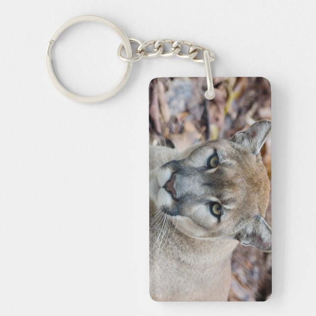 Cougar, mountain lion, Florida panther, Puma Key Ring (Front)