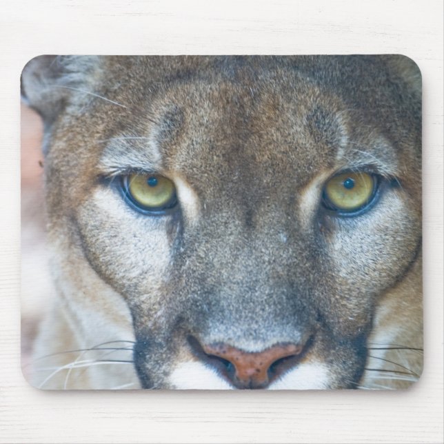 Cougar, mountain lion, Florida panther, Puma Mouse Pad (Front)