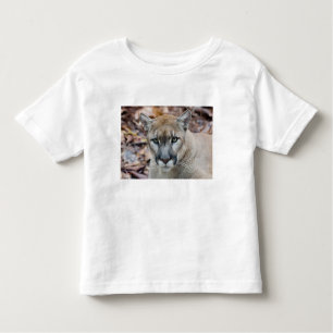 Cougar, mountain lion, Florida panther, Puma Toddler T-Shirt