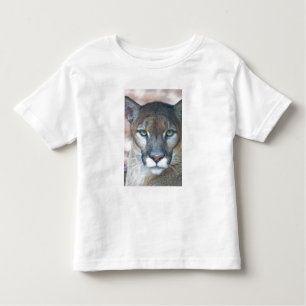 Cougar, mountain lion, Florida panther, Puma Toddler T-Shirt