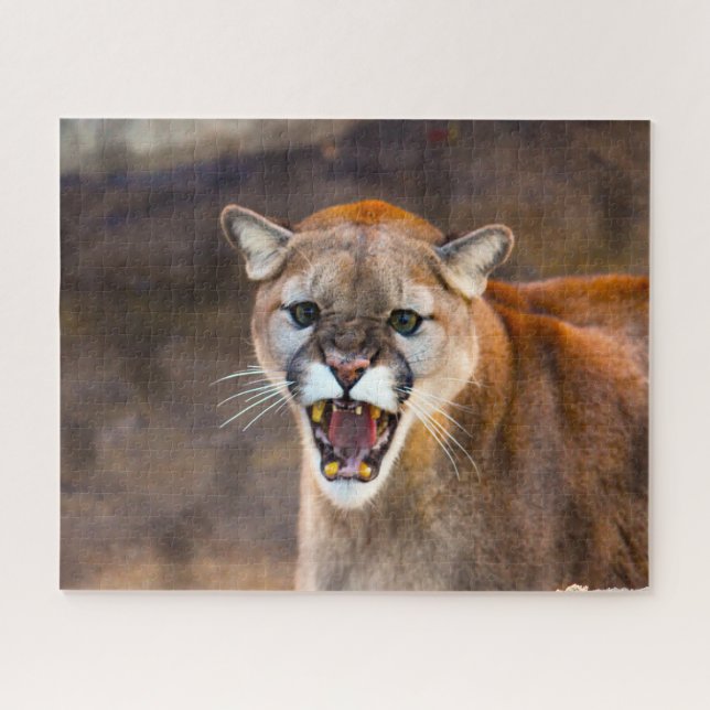 Cougar Mountain Lion. Jigsaw Puzzle (Horizontal)