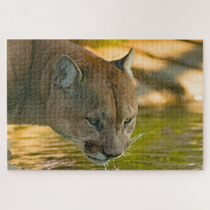 Cougar Mountain Lion. Jigsaw Puzzle