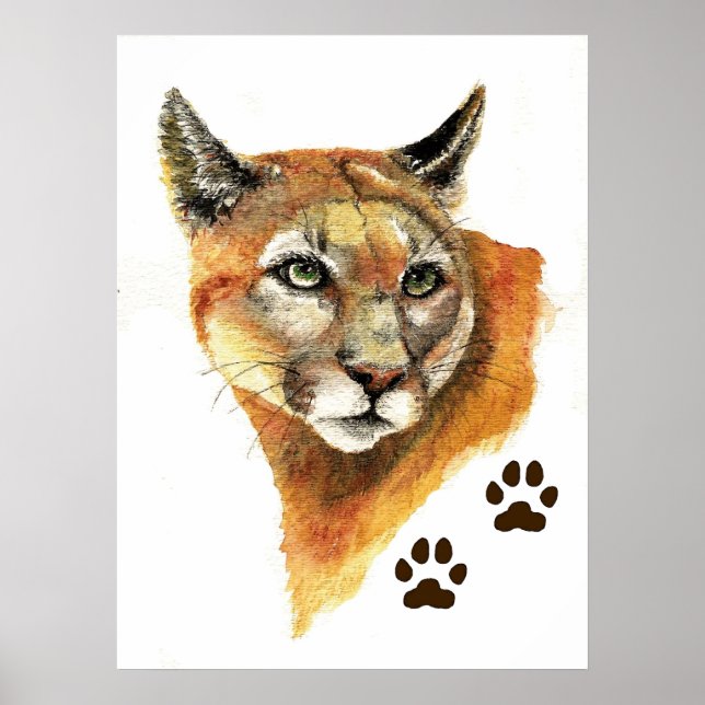 Cougar Mountain Lion Print (Front)