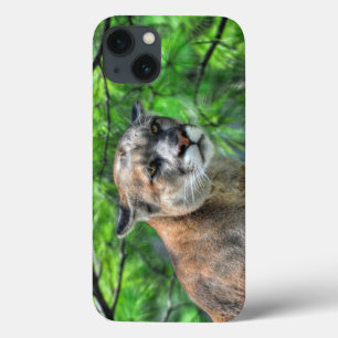 Cougar Mountain Lion & Summer Pines iPhone 13 Case