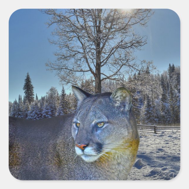 Cougar Mountain Lion & Winter Tree Wildlife Image Square Sticker (Front)