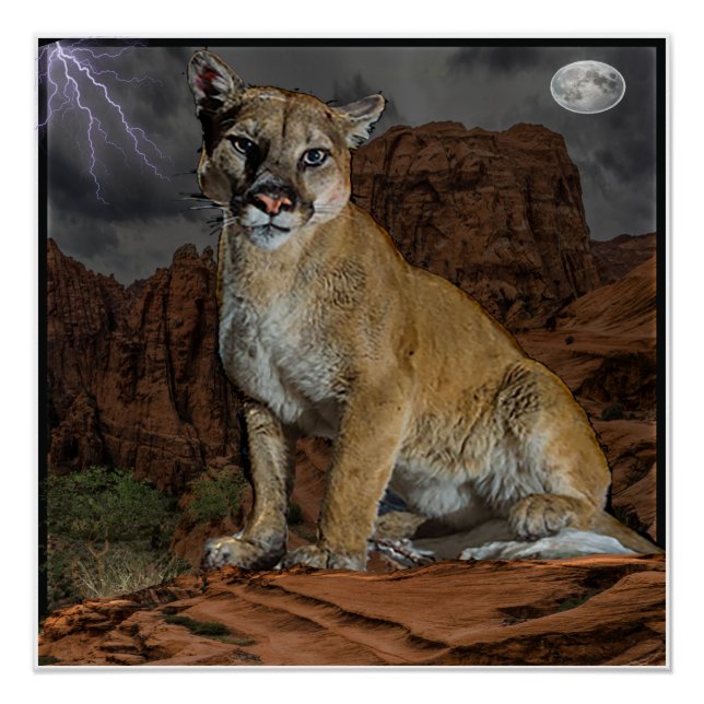 cougar mountain poster (Front)