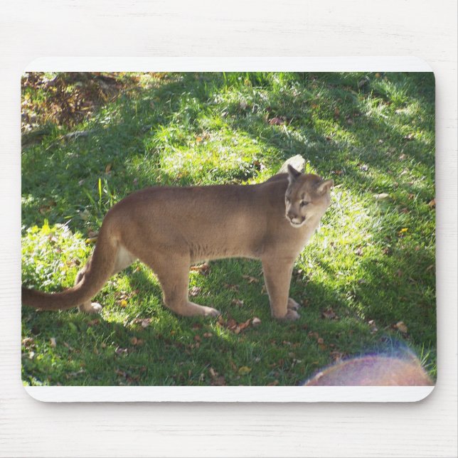 cougar mouse pad (Front)