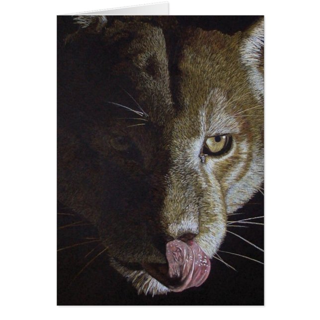 Cougar Night (Front)