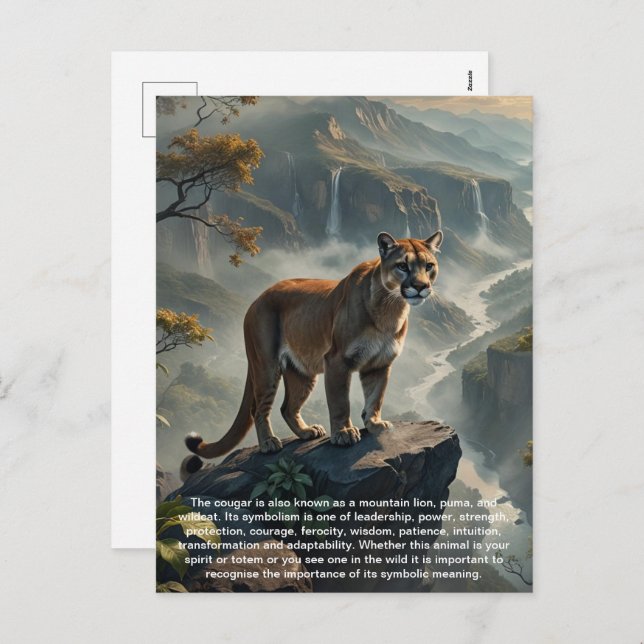 Cougar Postcard (Front/Back)