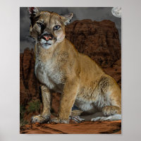 Cougar 
