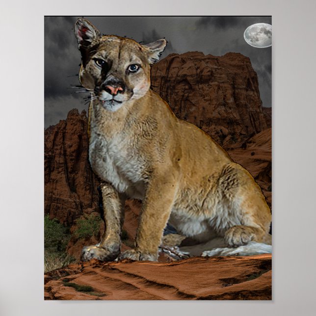 Cougar Poster (Front)