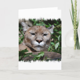Cougar Predator Greeting Card