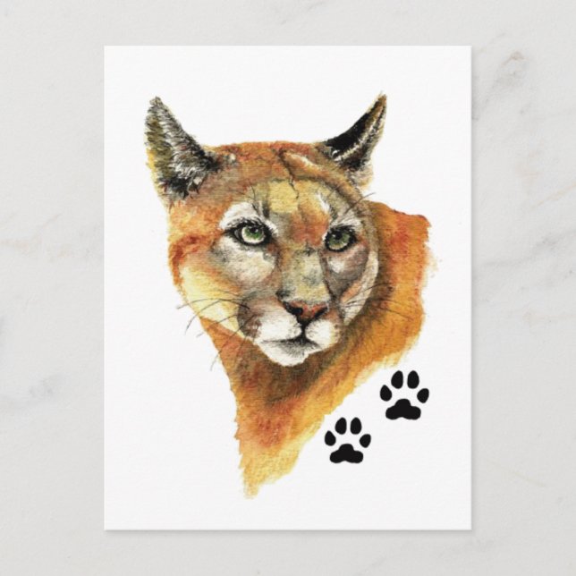 Cougar, Puma, Mountain Lion Animal Tracks Postcard (Front)