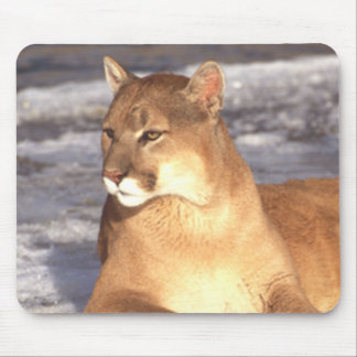 Cougar Rest Mouse Pad