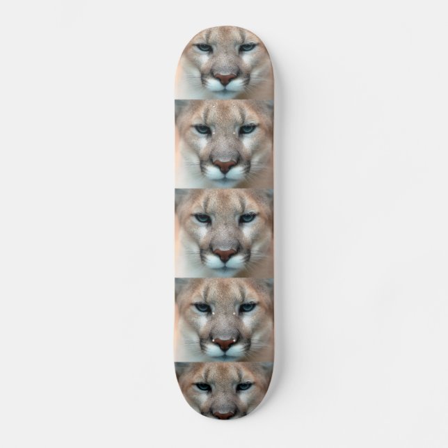 Cougar Skateboard (Front)