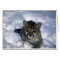 Cougar-small cub on snow