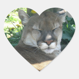 Cougar Sticker