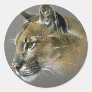 Cougar study classic round sticker