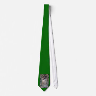 Cougar Tie