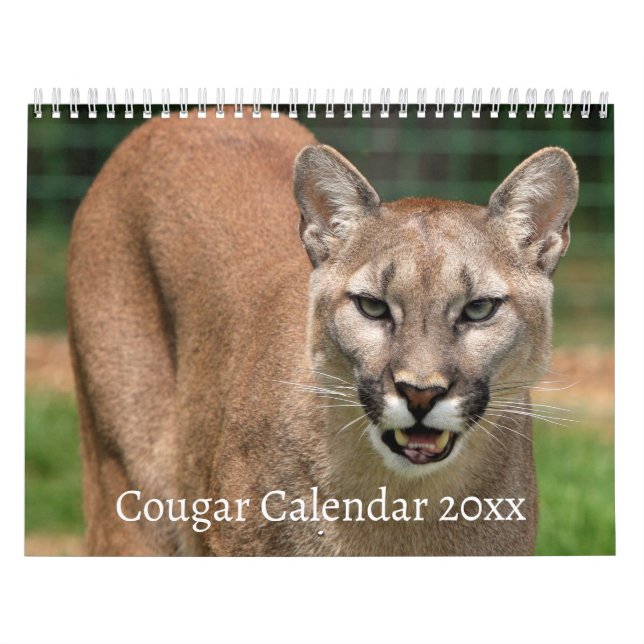 Cougar Wild Cat Calendar (Cover)