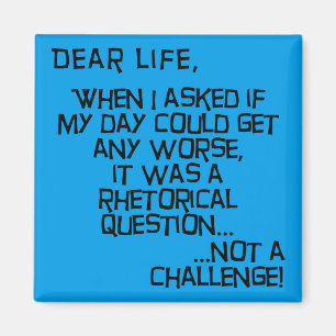 Could It Get Any Worse Funny Fridge Magnet